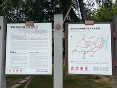 -铁山坪森林公园