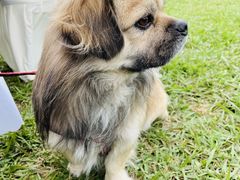 -云漫湖生态度假公园