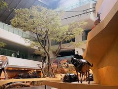 -武汉园博园(武汉自然博物馆)