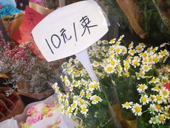 -溪岸路花鸟市场