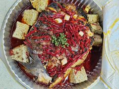 -重庆彩云湖湿地公园