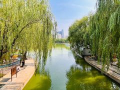 -团结湖公园