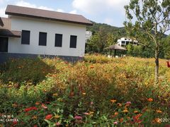 -乌石塘景区
