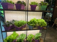 -番食园鲜食火锅(高新店)