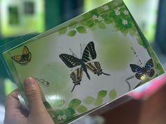 -上海昆虫博物馆