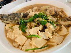 -煲来饱去冷水鱼