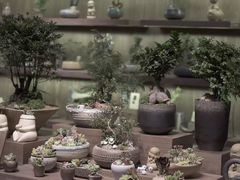 -方所(华润万象城店)