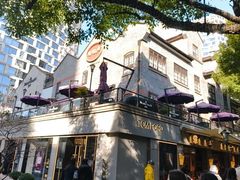 -陶陶居酒家(新天地店)