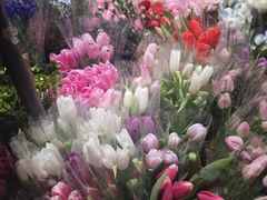 -循礼门鲜花花市(武汉循礼门店)