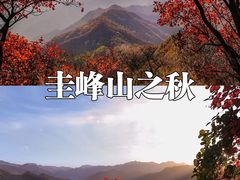 -秦岭风景区