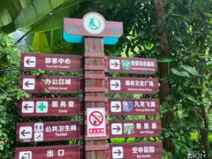 -西双版纳原始森林公园