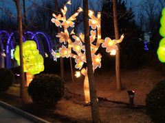 -南宫五洲植物乐园