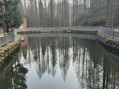 -山王坪喀斯特国家生态公园