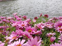 -翠湖公园