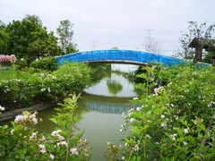 -上海杨姆庄园