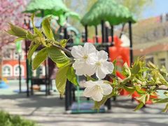 -红黄蓝幼儿园(颐东苑店)