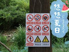-白水寺森林公园