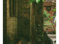 -小洲村
