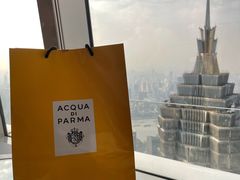 -The lounge 柏悦酒店大堂酒廊(上海环球金融中心店)