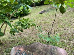 -广州神农草堂中医药博物馆