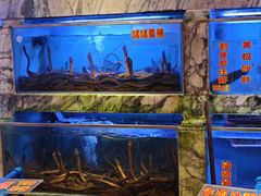 -惠食佳(滨江大公馆店)