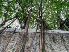 -荔香公园