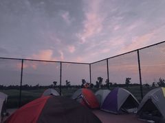 盖浇饭-杭州师范大学食堂