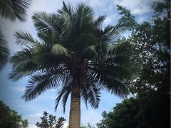 -江门古兜温泉小镇