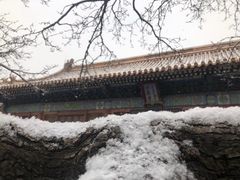 -故宫博物院(故宫)