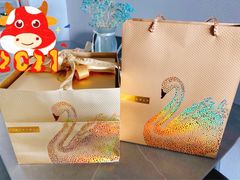 -BLACKSWAN黑天鹅(环球店)