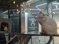 -弓舍射箭俱乐部(高新总店)
