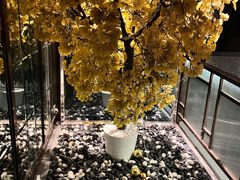 -丽晶大班SPA(大沽店)