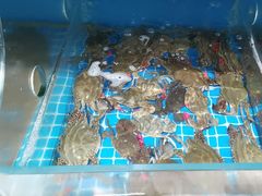 -宾朋海鲜特色美食餐厅·纯手工鲅鱼水饺(兴海路店)