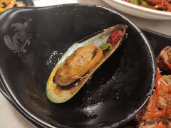 新西兰青口贝-七欣天(诸暨苎萝万风西楼店)