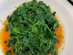 -新南华大酒店(长寿店)