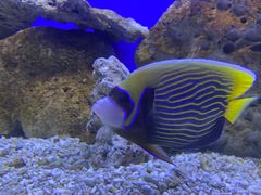 -洛阳龙门海洋馆