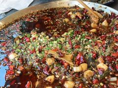 -向外鱼乐·土菜·虹鳟鱼