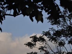 -南洋风味(万宁店)