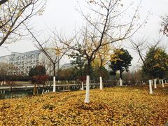 -江南大学(蠡湖校区)