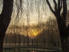 -东坝千亩湖公园