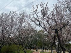 -颐景园