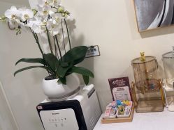 -海涛医疗美容·面部抗衰·注射美鼻