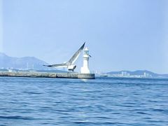 -大连星海广场音乐喷泉