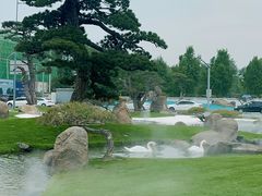 -罗红摄影艺术馆