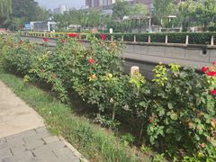 -元大都城垣遗址公园