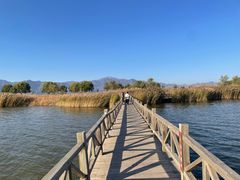 -野鸭湖国家湿地公园