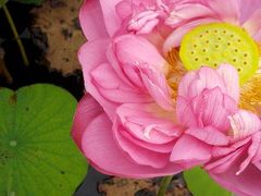 android_upload_pic-宝泉胜境旅游度假区