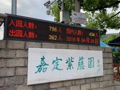 -嘉定紫藤园