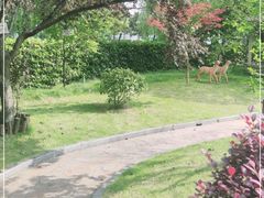 -上海爱以德护理院·康复(宝山院)