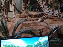 -自贡恐龙博物馆